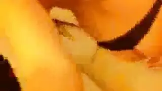 أوجي بدوي تحت الشمس