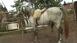 مهرجان نيك في المزرعة: نيك جماعي في التبن مع فتاة قذرة