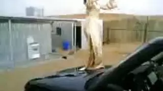 خيال جنسي في السيارة منفلت