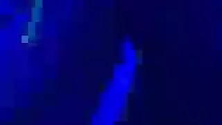 جلسة تصوير نهال عنبر العارية تتحول إلى فعل جنسي