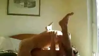 إباحية ممارسة مع حيوان: حصان يتزاوج مع فتاة محلوقة بالكامل