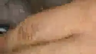 دسار أوروبية مثلي الجنس