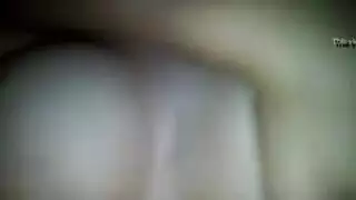 مجون حيواني يضم إناثاً قذرات