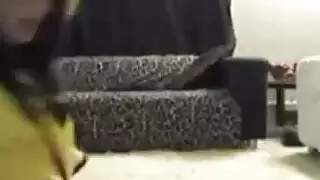 بورن منزلي xxx: امرأة عربية فاتنة تعرض صدرها الكبير