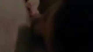 سكس قاهرة صريح: جلسة مص ونيك