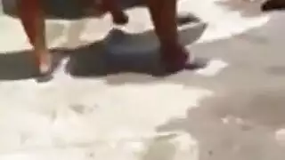 حفلة جنس جماعي في مسرح عارٍ تظهر فتيات حفلات ذات مؤخرة ممتلئة