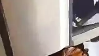 نيك في العراء بالصحراء وضعية الكلب المتوحشة