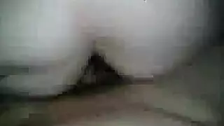 حصان ينيك بنت ويركبها