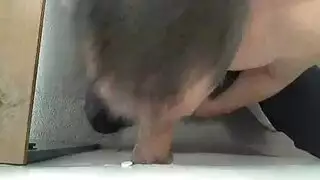 تدمير مدخلي الخلفي بواسطة بي بي سي