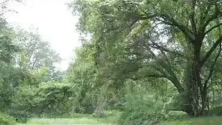 مشهد ثلاثي صريح: مطلقات تنكّن بشكل مزدوج