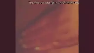 الكرز الهندي الهندي تحطيم الديك الكبير