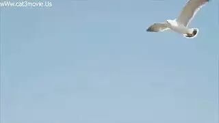 جدي سكس كوري حفيداتي