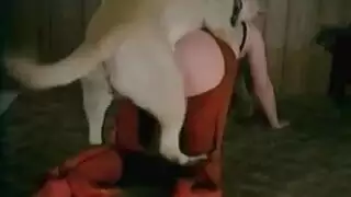 جماع حيواني مع امرأة مطلقة جذابة وناضجة