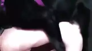 ٦ مراهقة جميلة في مشاهد إباحية صعبة ومرهقة