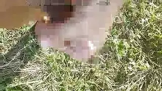 عارية وجاهزة: جنس صيفي مع غريب عابر